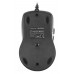 Мышь A4Tech V-Track Padless N-70FX черный оптическая (1600dpi) USB (7but)