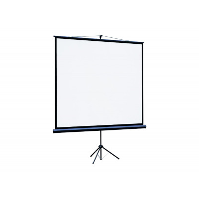 [LEV-100112] Экран на штативе Lumien Eco View 183x244см (раб.область175х236 см) Matte White с возможностью настенного крепления 4:3