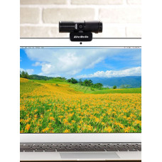 Камера Web Avermedia PW 313 черный 2Mpix USB2.0 с микрофоном