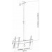Кронштейн для телевизора Arm Media LCD-1500 черный 26"-65" макс.50кг потолочный наклон