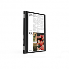 Трансформер Lenovo ThinkPad L13 Yoga G2 T Core i5 1135G7 8Gb SSD256Gb Intel Iris Xe graphics 13.3" IPS Touch FHD (1920x1080) Windows 10 Professional 64 black WiFi BT Cam