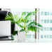 Интернет-центр Anydata R200 (W0047591) 10/100BASE-TX/4G(3G)