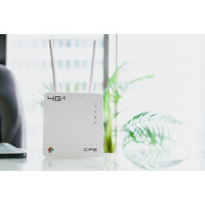 Интернет-центр Anydata R200 (W0047591) 10/100BASE-TX/4G(3G)
